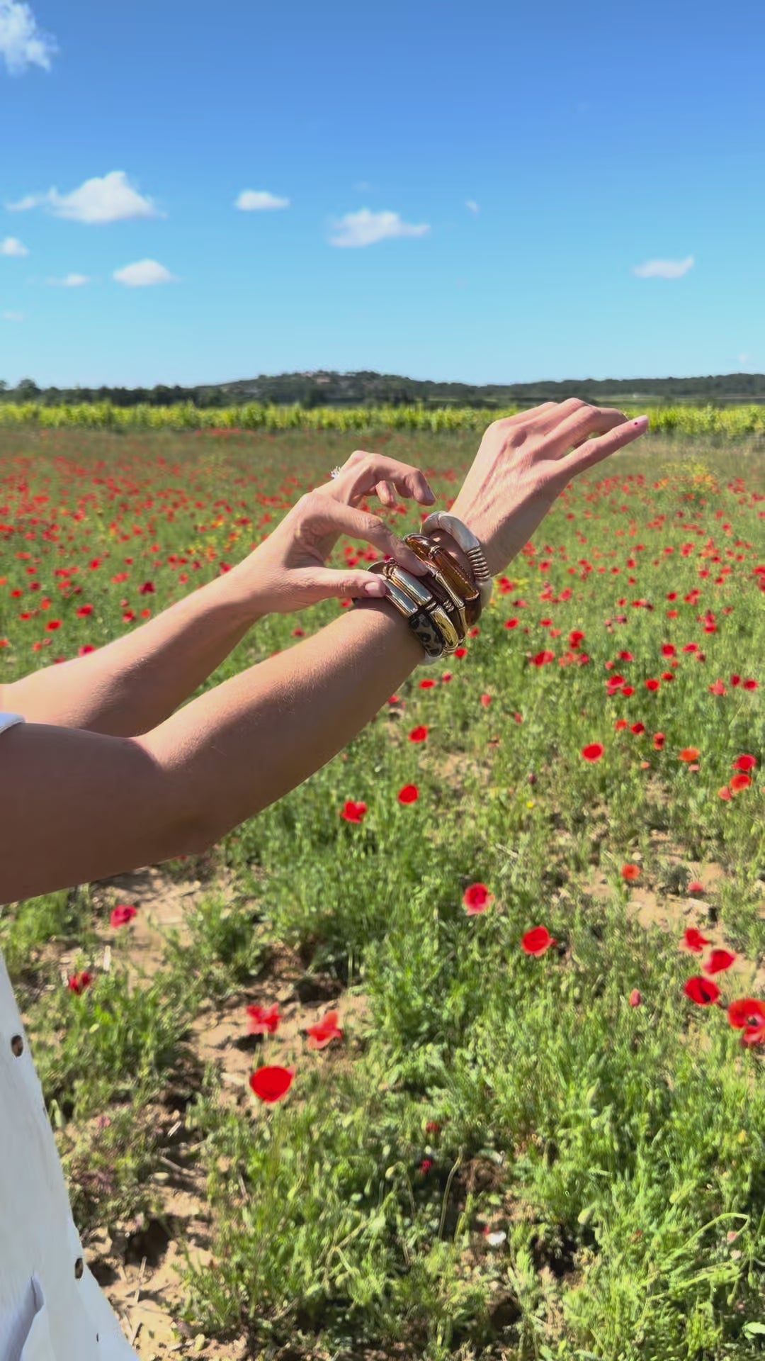 LUBERON